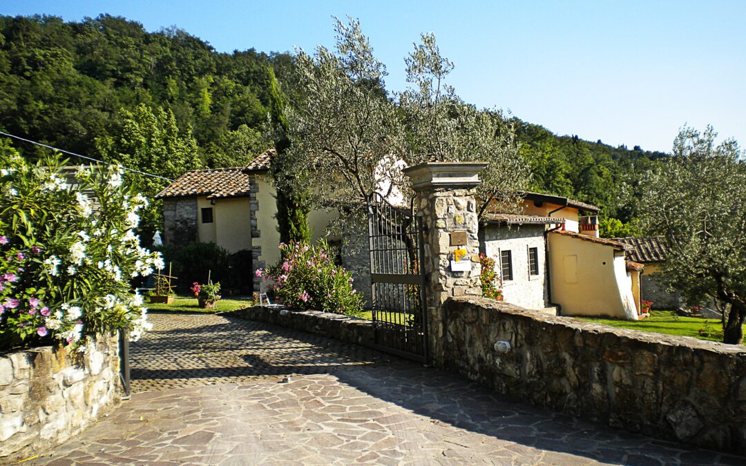 L’analisi ISTAT 2017 sulle aziende agrituristiche in Italia