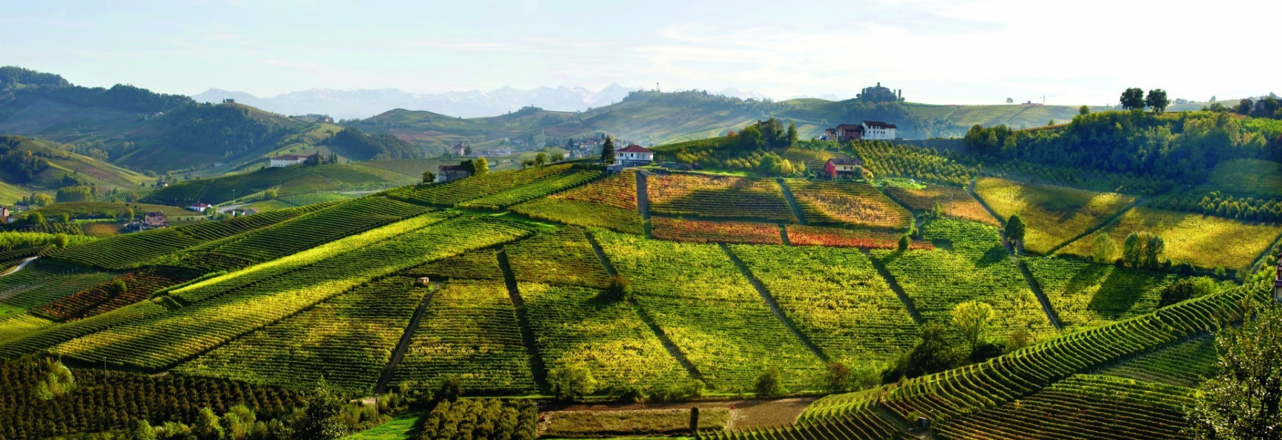 beni_di_batasiolo