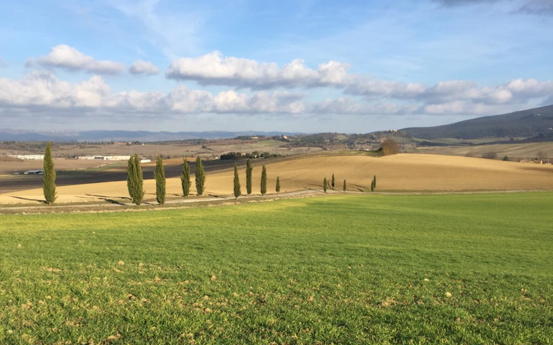 #TuscanyTogether: il turismo toscano si riorganizza con un piano da 7 milioni