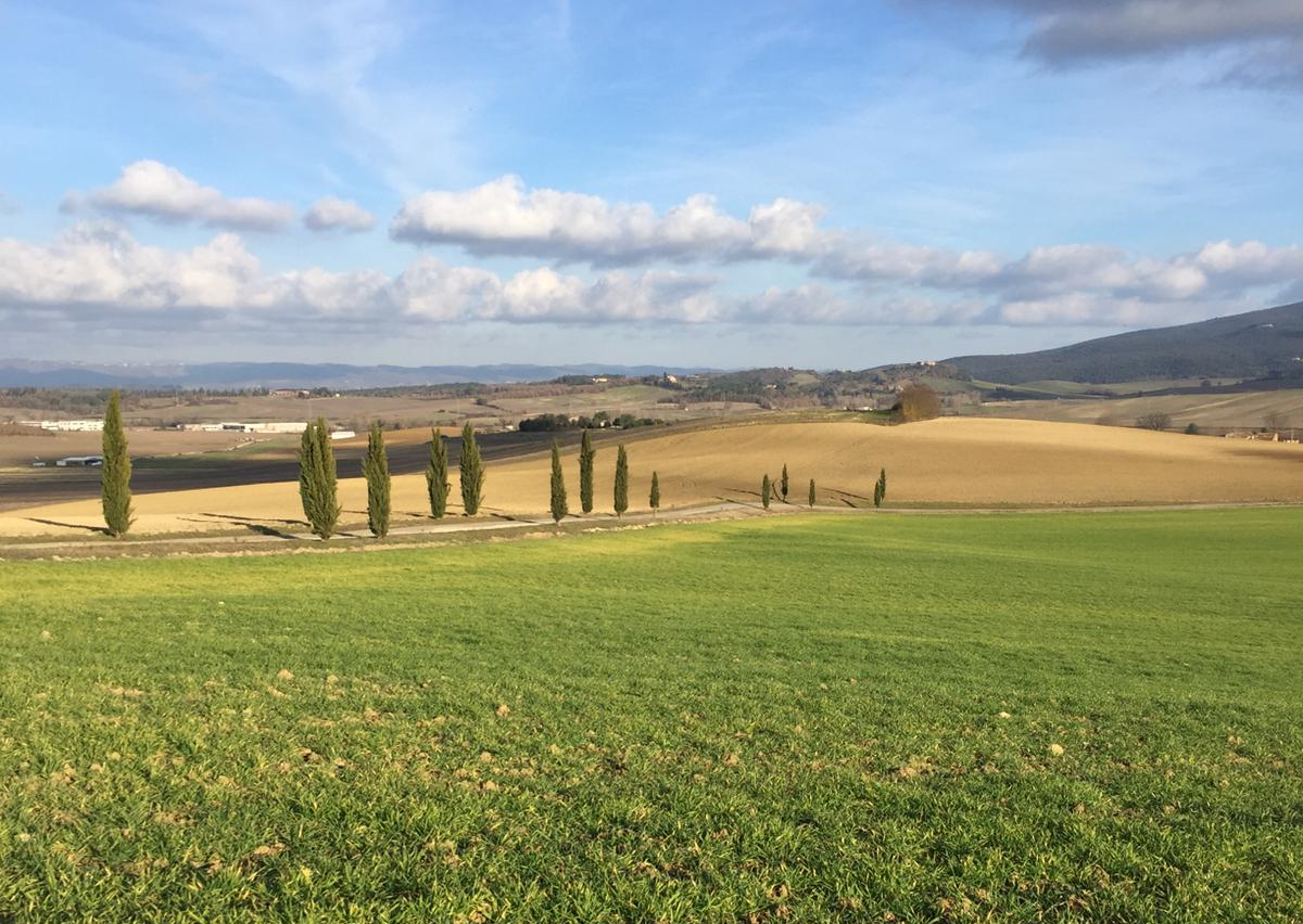 campagna_senese_foto_Pietro_Martinetti