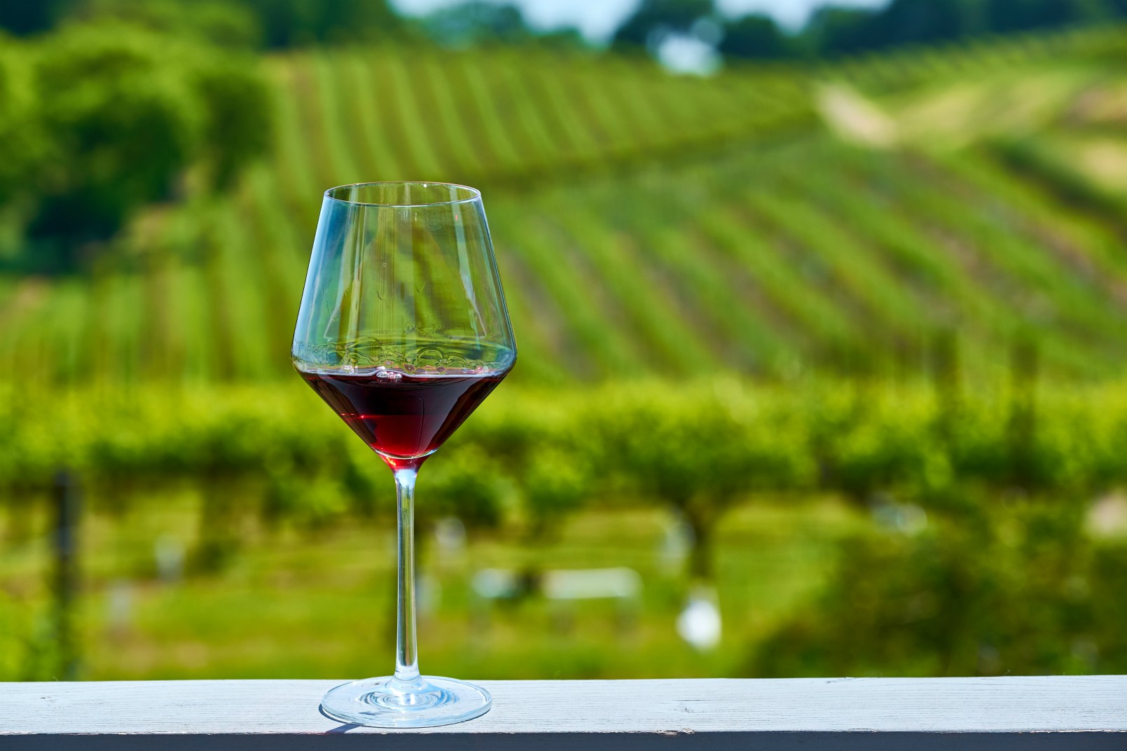 glass-of-red-wine-and-vineyards-THDY2FZedited