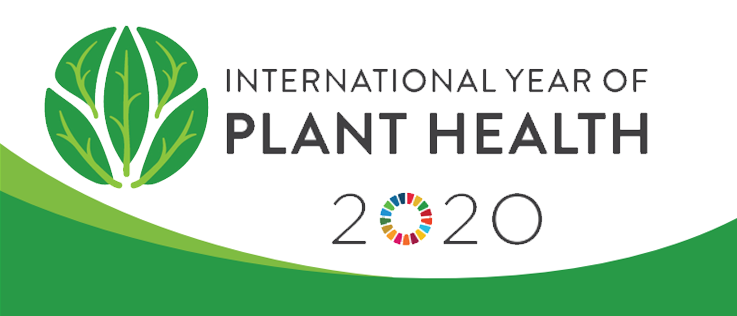 Festival Plant Health 2020, Torino protagonista nell’Anno della Salute delle Piante