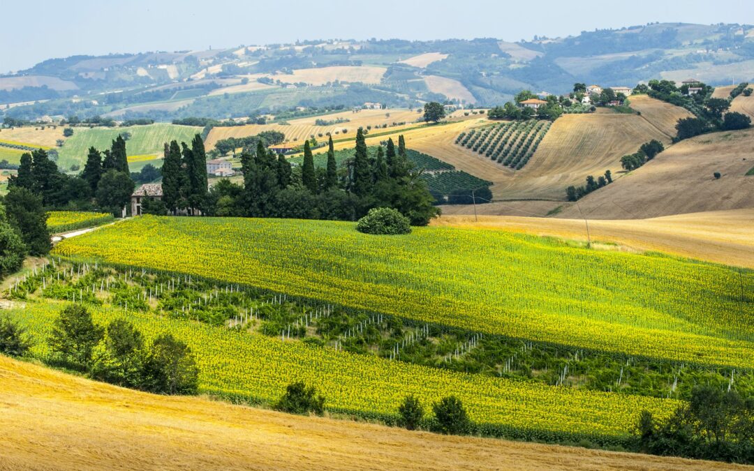 Tanta empatia e segnali positivi per l’Italia dal bollettino n°1 di Enit