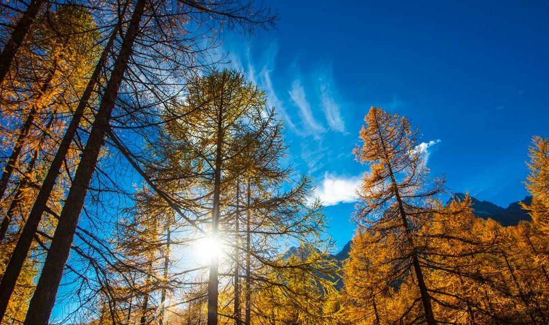 A Torino una fiera tutta dedicata ai parchi