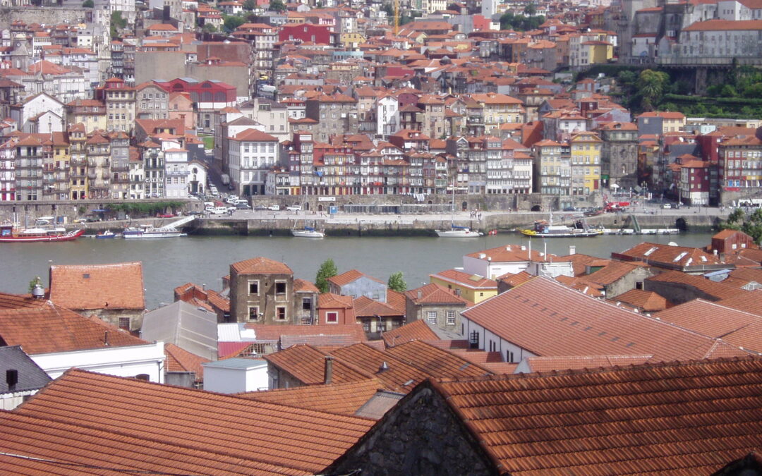 Il viaggio ai tempi del virus