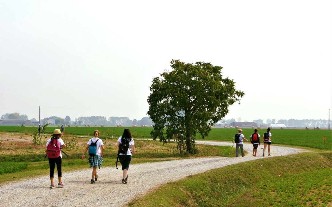 Via Francigena e Via di San Francesco, 2,8 milioni per interventi sui cammini