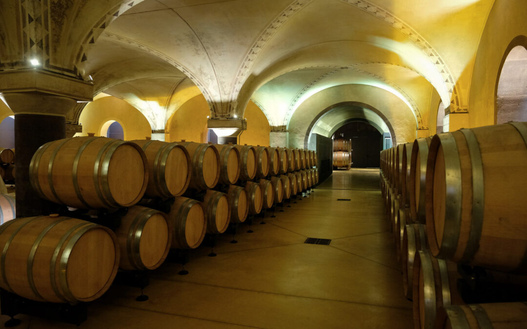 Il futuro del vino è il futuro del mondo