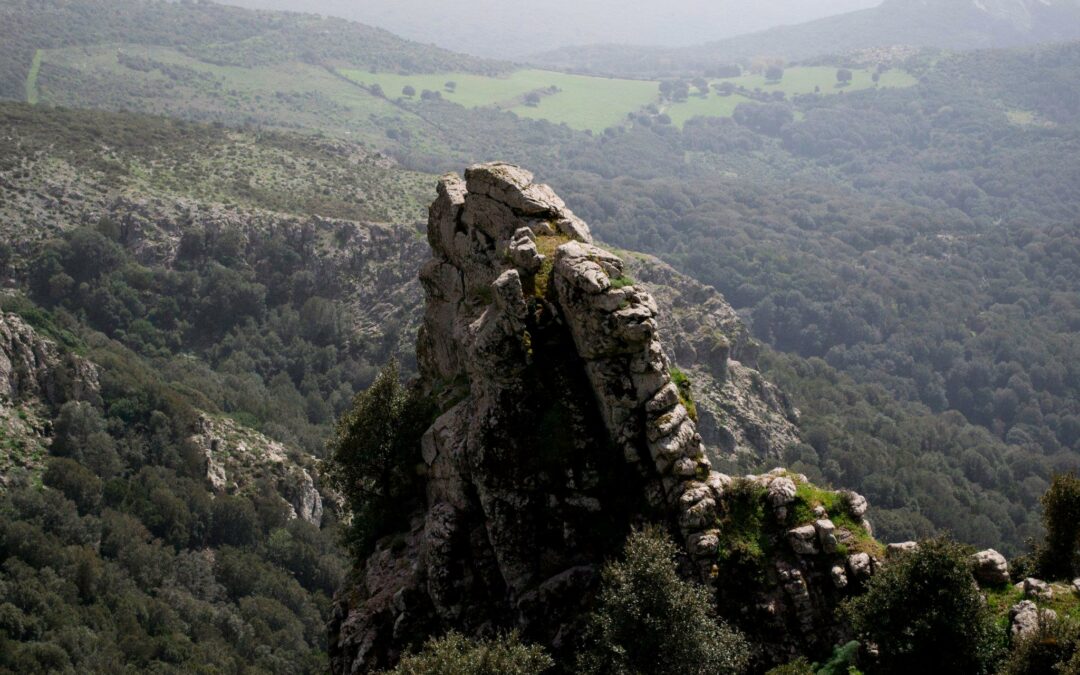 In Sardegna si lavora sul potenziamento delle aree interne