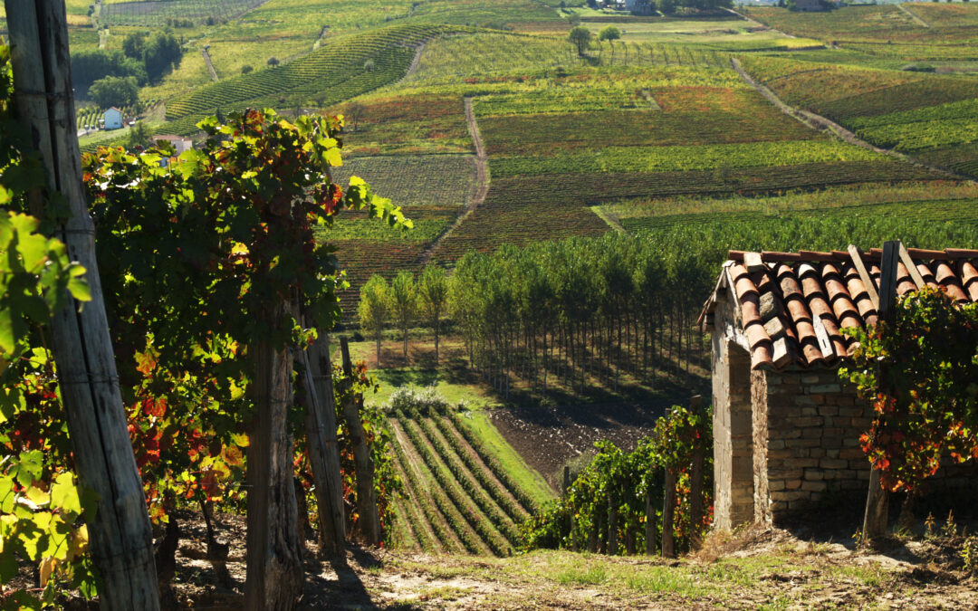 L’estate in Monferrato a suon di musica ed enogastronomia