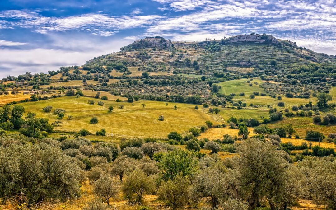 Un bando per incentivare il ritorno alla terra in Sicilia