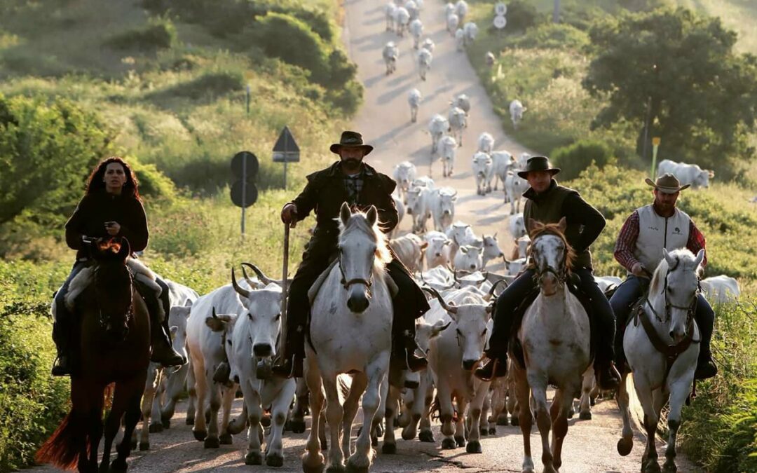 In viaggio per l’Unesco lungo i sentieri della Transumanza d’Italia