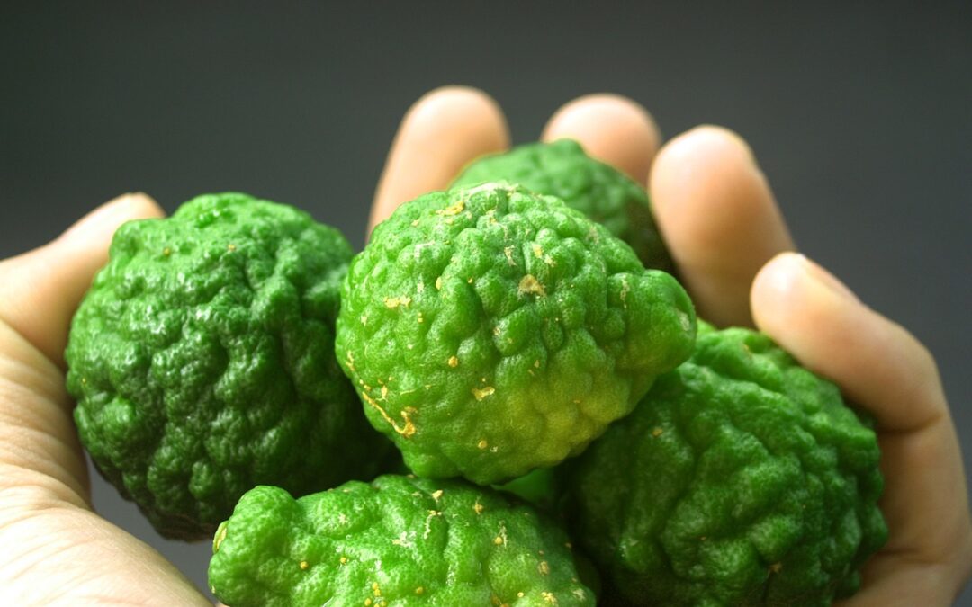Il Geoportale della cultura alimentare si presenta