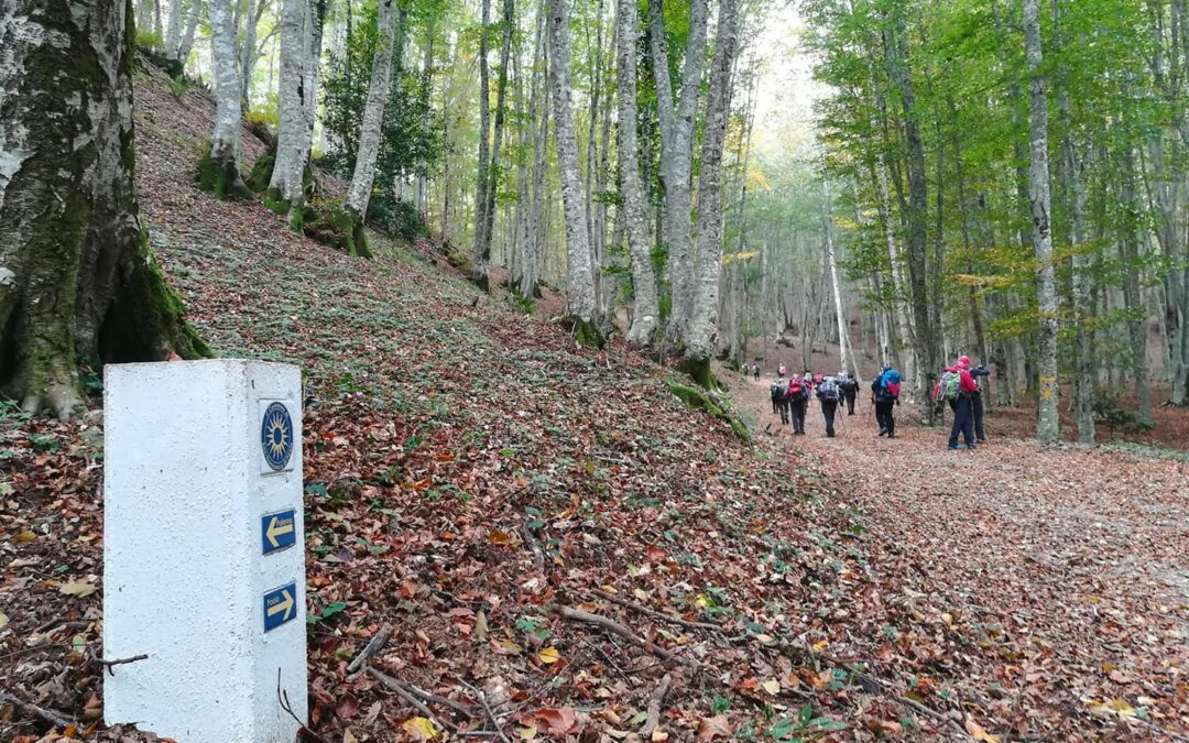 Il Cammino di San Francesco di Paola tra turismo, natura e fede