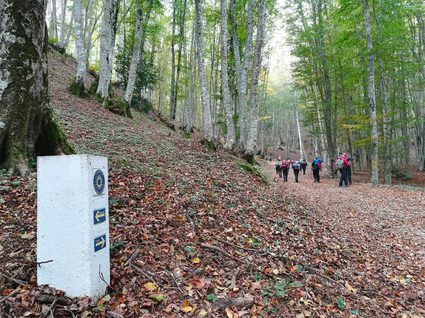 cammino-san-francesco-da-paola