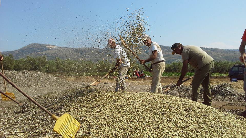 Per il turismo dell’olio è un vero “boom”