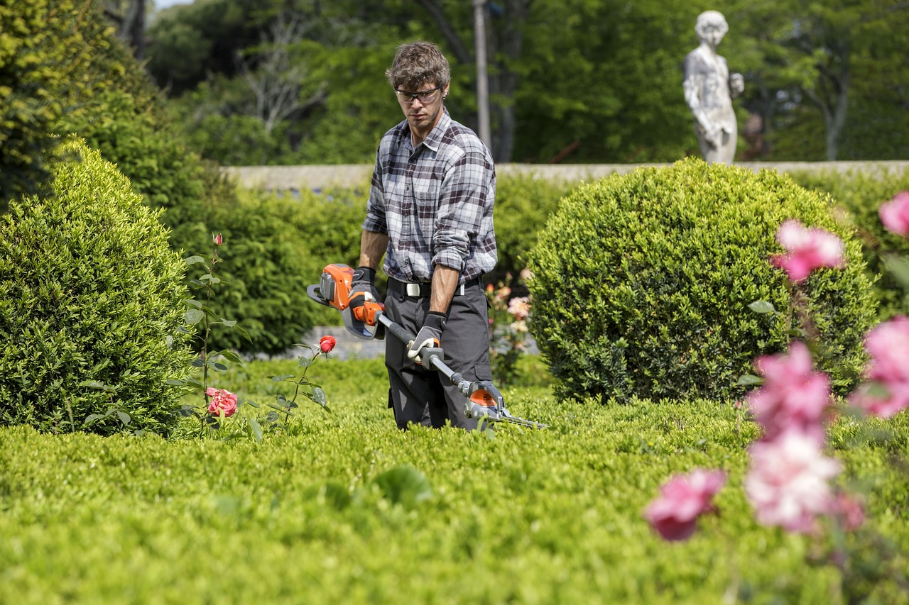 garden