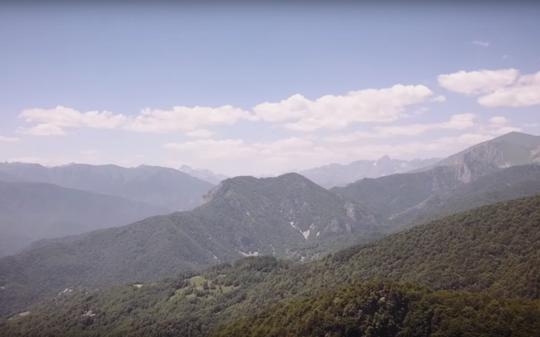 Le foreste del Piemonte, un tesoro da valorizzare