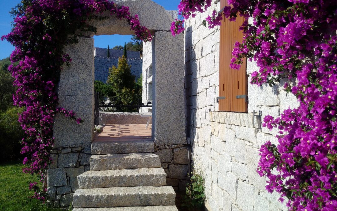 Primavera di bellezza nei giardini della Sardegna