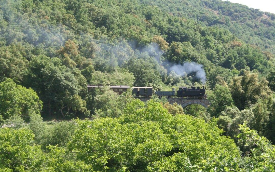 Alla scoperta della Sardegna a bordo del Trenino Verde