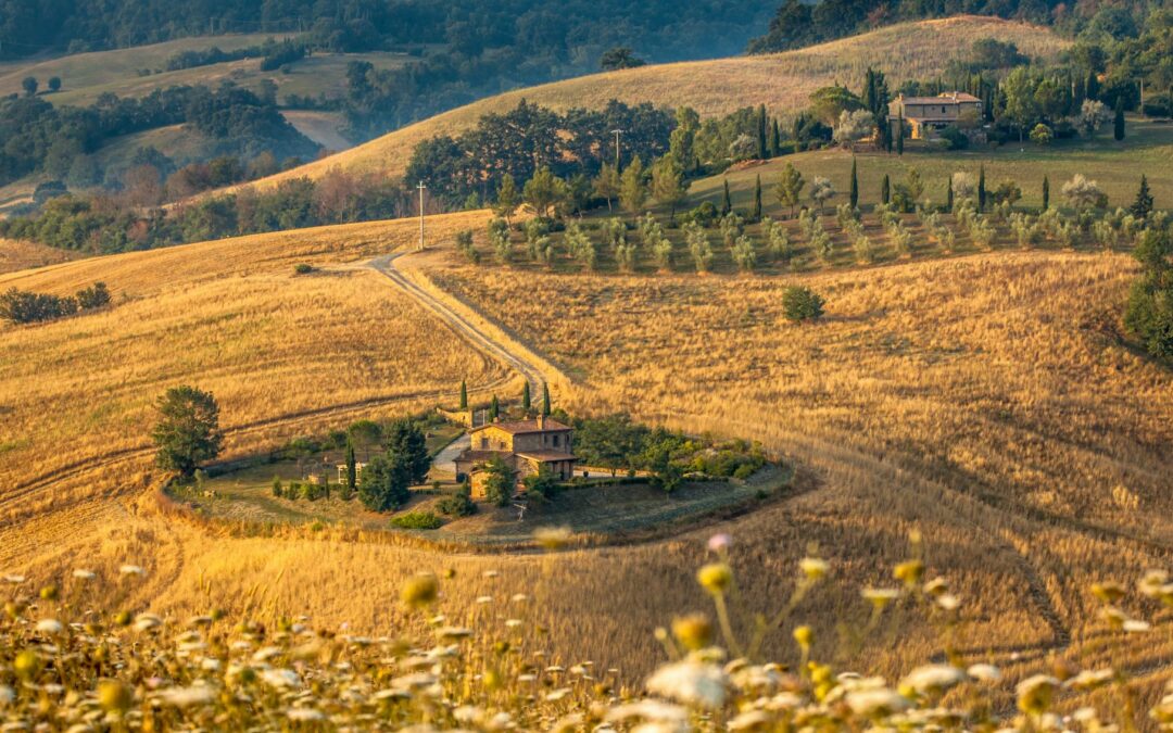 Settore agrituristico in crescita per offerta di servizi e valore economico