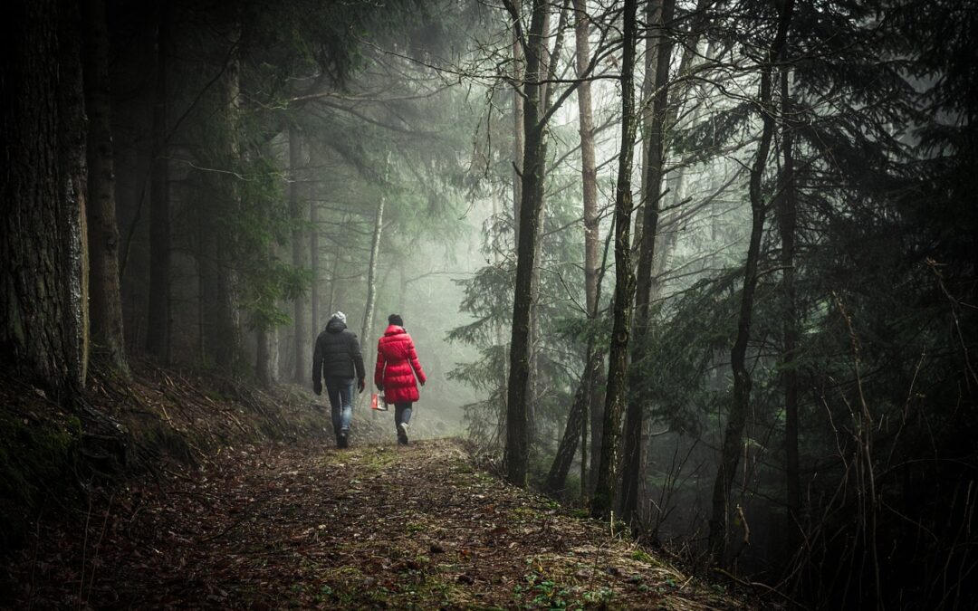 Cammini Lauretani: le Marche puntano su fede e natura per incrementare il turismo
