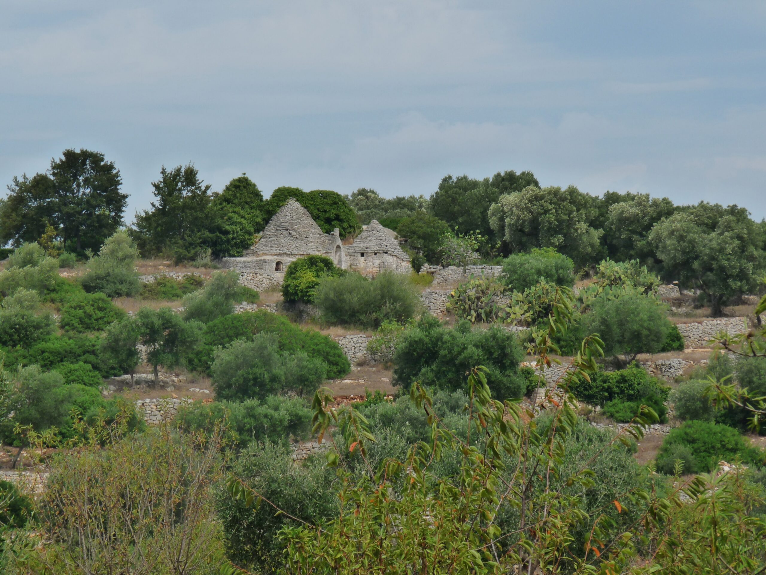 Trullo_e_terrazzamenti_nelle_campagne_di_Ceglie_Messapica